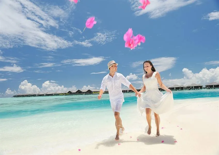 Обновляем чувства с Maafushivaru Maldives