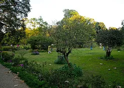 Indimasi Healing Village