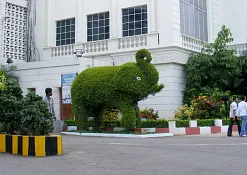 Indimasi Healing Village