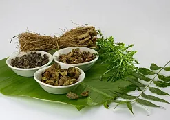 Indimasi Healing Village