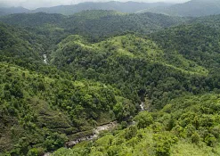 Indimasi Healing Village