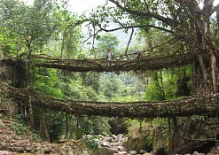 Indimasi Healing Village