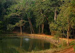 Indimasi Healing Village