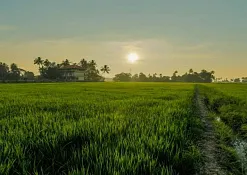 Indimasi Healing Village