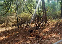 Indimasi Healing Village