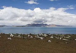 Indimasi Healing Village