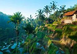 Hard Rock Hotel Bali