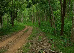 Indimasi Healing Village