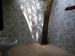 Special Kerala Hut