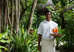 Курорт Coco Palm Resort