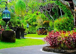 Hard Rock Hotel Bali