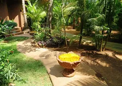 Indimasi Healing Village