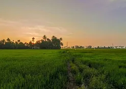 Indimasi Healing Village