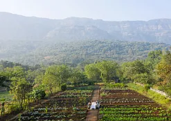 Indimasi Healing Village