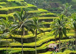 Hard Rock Hotel Bali