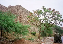 Indimasi Healing Village