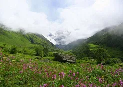 Indimasi Healing Village