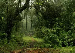 Indimasi Healing Village