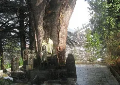 Indimasi Healing Village