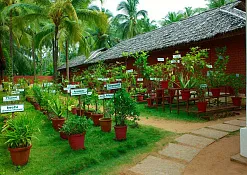 Indimasi Healing Village