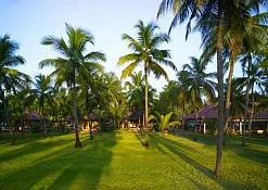Indimasi Healing Village