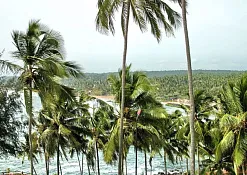 Indimasi Healing Village