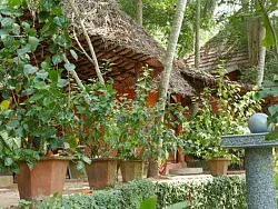 Special Kerala Hut