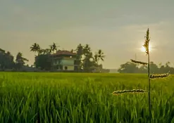 Indimasi Healing Village