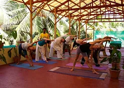Indimasi Healing Village