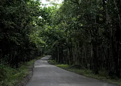 Indimasi Healing Village