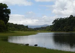 Indimasi Healing Village