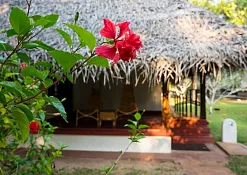 Indimasi Healing Village