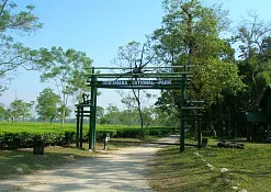 Indimasi Healing Village