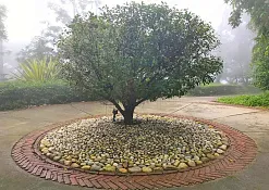 Indimasi Healing Village