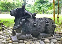 Indimasi Healing Village