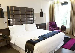 Asoka & Arjuna Grove Rooms