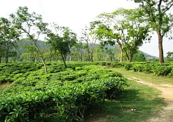 Indimasi Healing Village