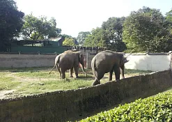 Indimasi Healing Village