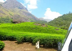 Indimasi Healing Village