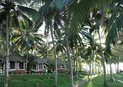 Indimasi Healing Village