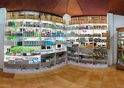 Indimasi Healing Village