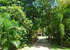 Indimasi Healing Village