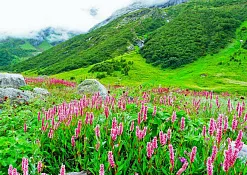 Indimasi Healing Village