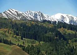 Indimasi Healing Village
