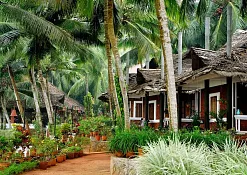Indimasi Healing Village