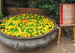 Indimasi Healing Village