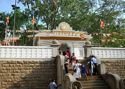 Indimasi Healing Village
