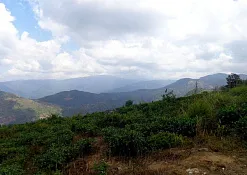 Indimasi Healing Village