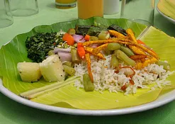 Indimasi Healing Village