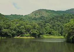 Кодагу